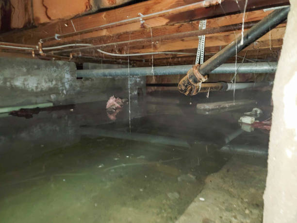 Best Fire Damage Restoration  in Prosperity, WV