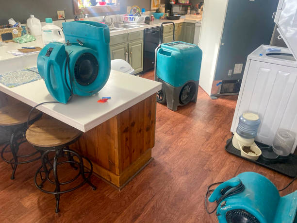 Best Commercial water damage restoration  in Prosperity, WV