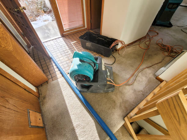 Best Local water damage restoration  in Prosperity, WV