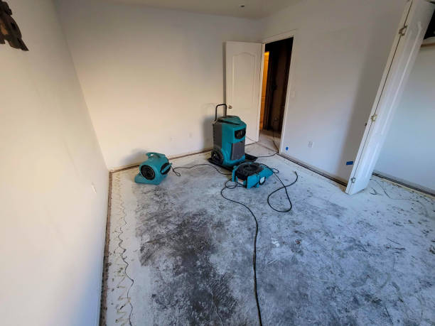 Best Water damage restoration specialists  in Prosperity, WV