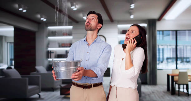 Best Basement water damage restoration  in Prosperity, WV